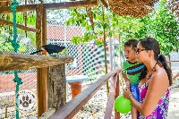 Rescate de Animales y Zoológico de Rehabilitación Safarick en Colón