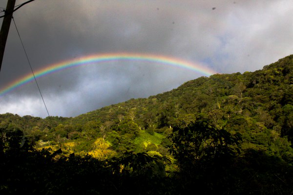 Explorando Boquete, Panama